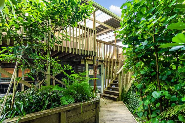 11 Newell Street Point Chevalier_7