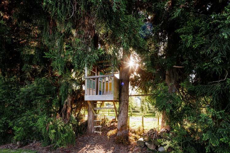 50a Windmill Road Tamahere_34