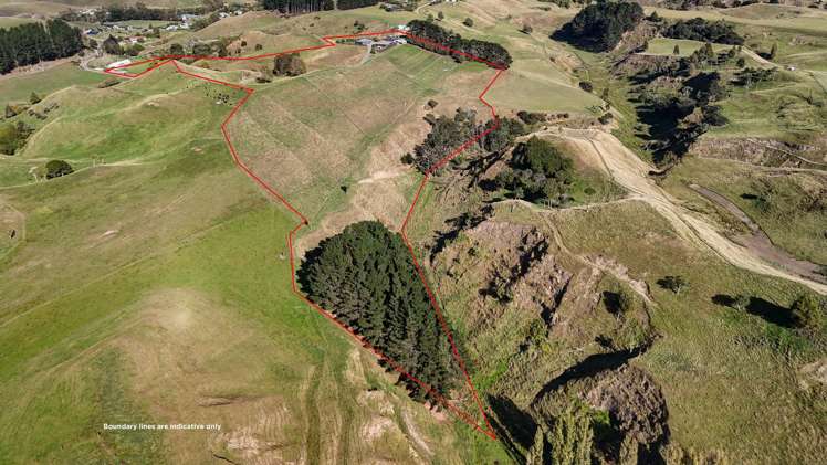 65 Concord Line Kaitoke_5