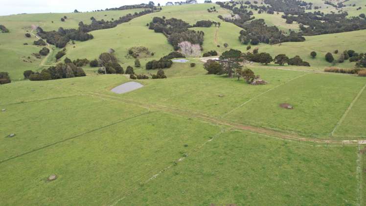 4283 State Highway 12 Dargaville Surrounds_4