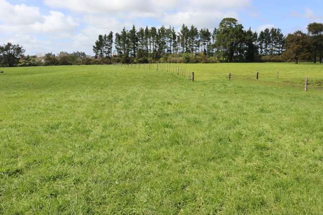 828 Hursthouse Road Inglewood_2