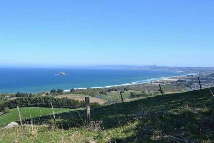 215 Green Island Bush Road Waldronville_8