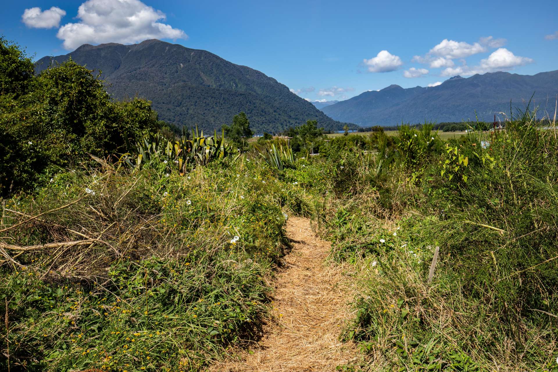 Lake Brunner Road Inchbonnie_0