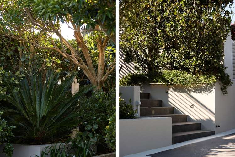 145 Waratah Street Matua_21