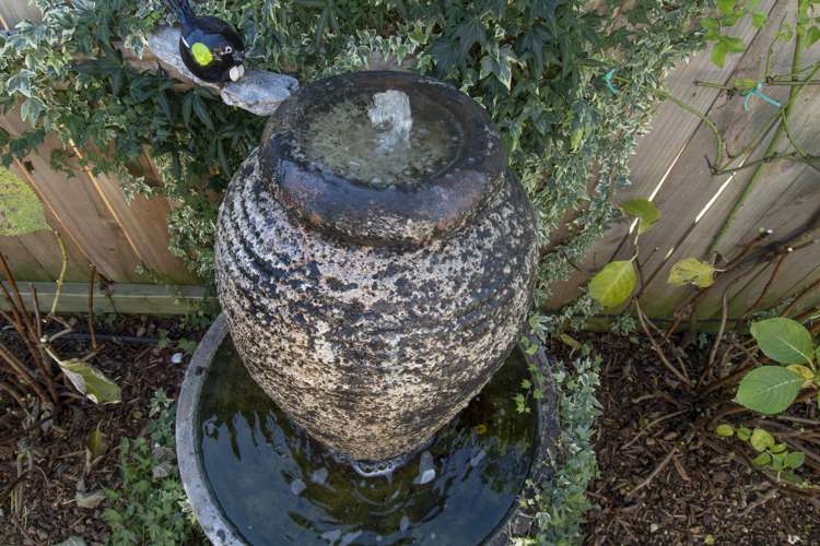 40 Charlotte Drive Omokoroa_11