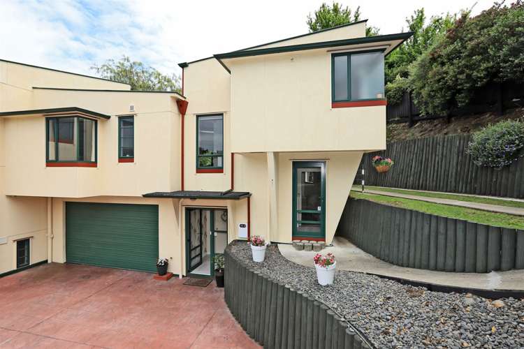 3b Laing Cove Havelock North_14