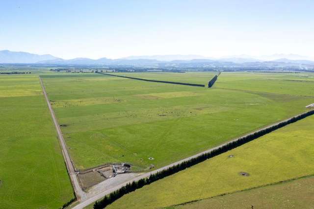 Irrigation and scale with potential