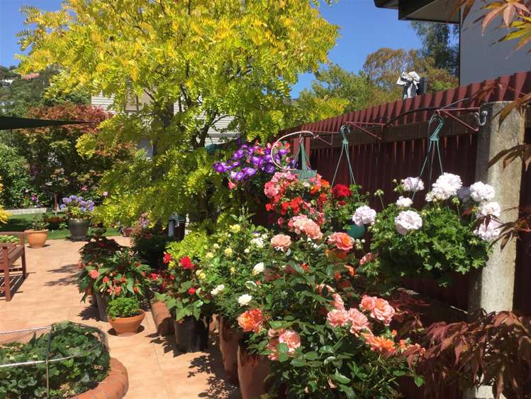 16 Landsdowne Terrace Cashmere_20