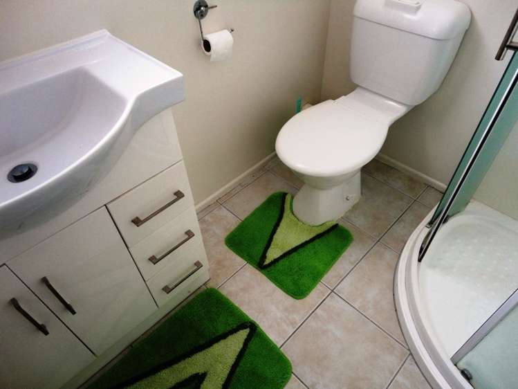 167 Coxhead Road Wattle Downs_5