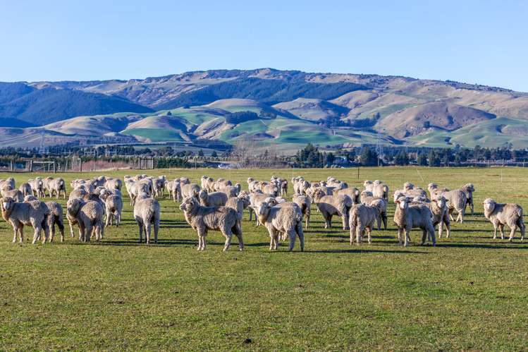 380 Waipara Flat Road Waipara_28