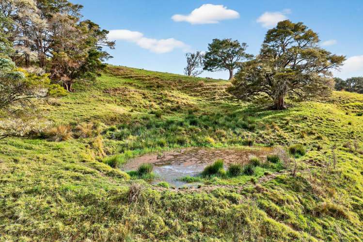 397 Pahi Road Pahi_3