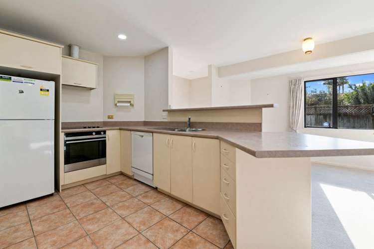 13 Palmgreen Court Stanmore Bay_8