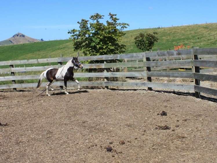 171 Hughes Road Palmerston_5