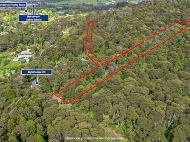 60 Opanuku Road Henderson Valley_6