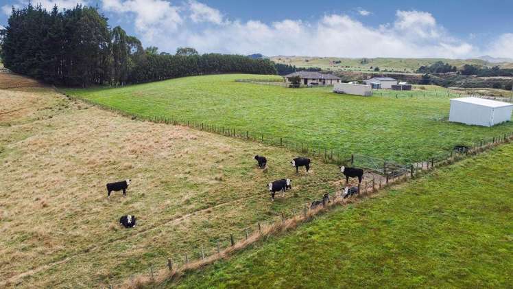 76934 State Highway 2 Dannevirke_18