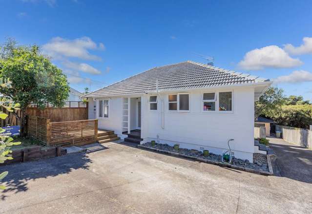 4 brm new renovated house mt roskill