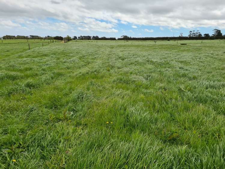 2344 Opunake Road Awatuna_19