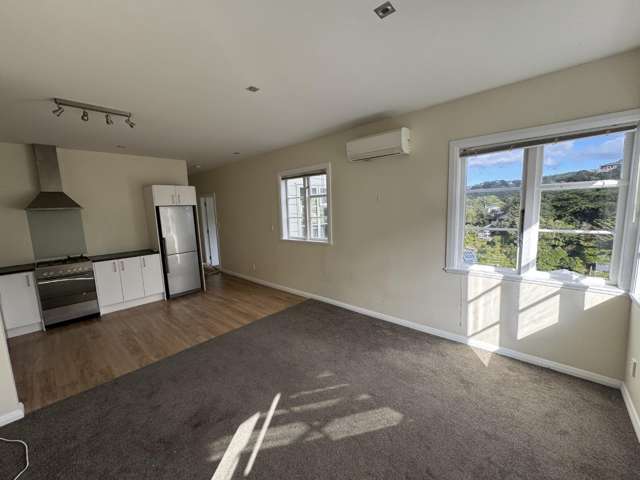 B/17 Plunket Street Kelburn_3