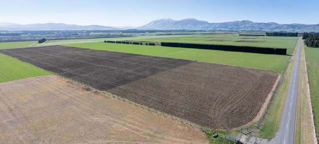 786 Ellis Road Acton_4