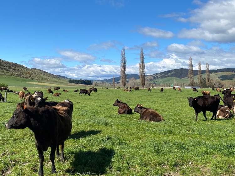 1147 Lumsden Dipton Highway Lumsden Surrounds_9