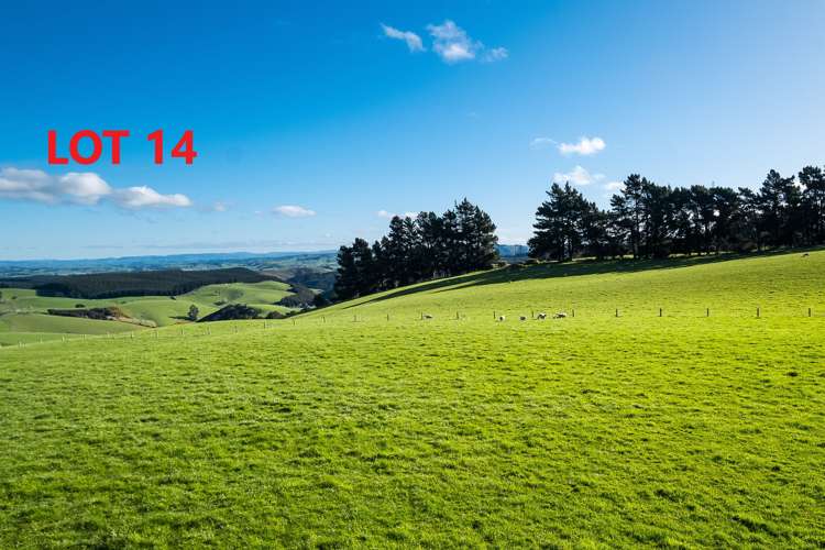 Table Hill Road Milton_5