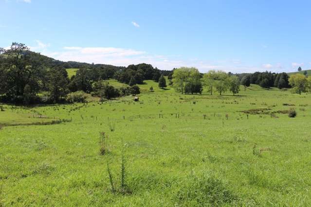 81 Ruapekapeka Road Towai_3