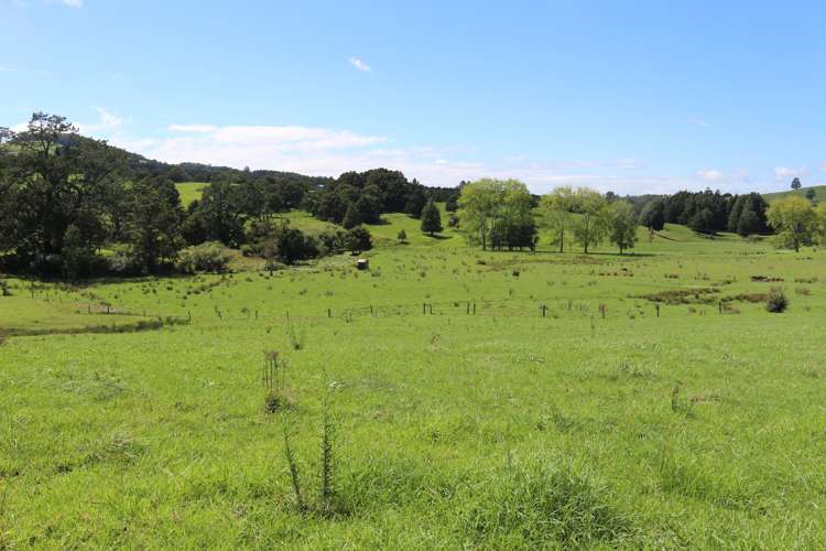 81 Ruapekapeka Road Towai_3