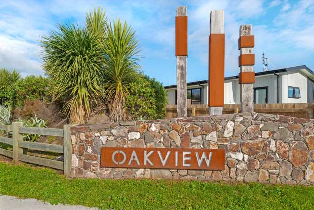 17 Mangamoteo Street Makauri_4