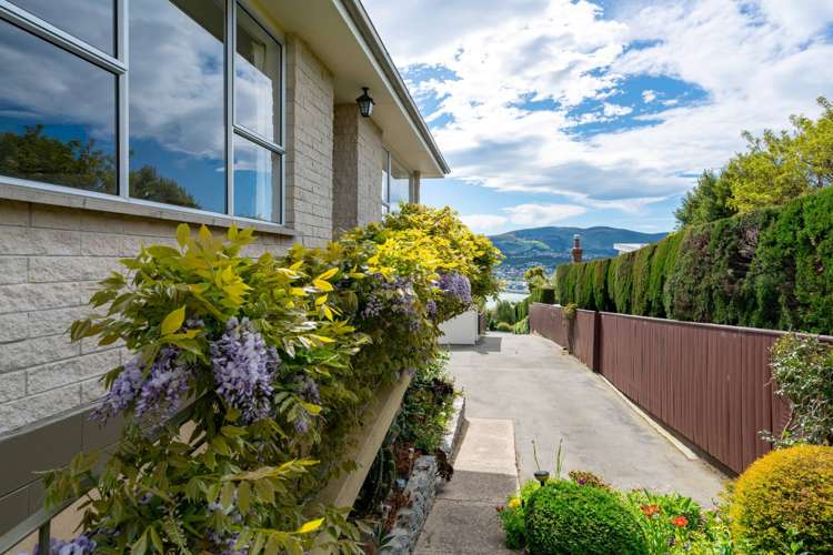 13 Dunrobin Street Waverley_15