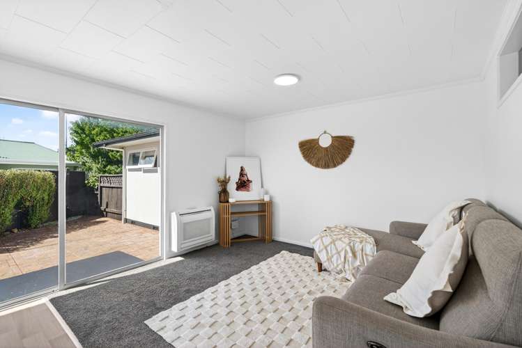 3/163 Vigor Brown Street Napier South_2