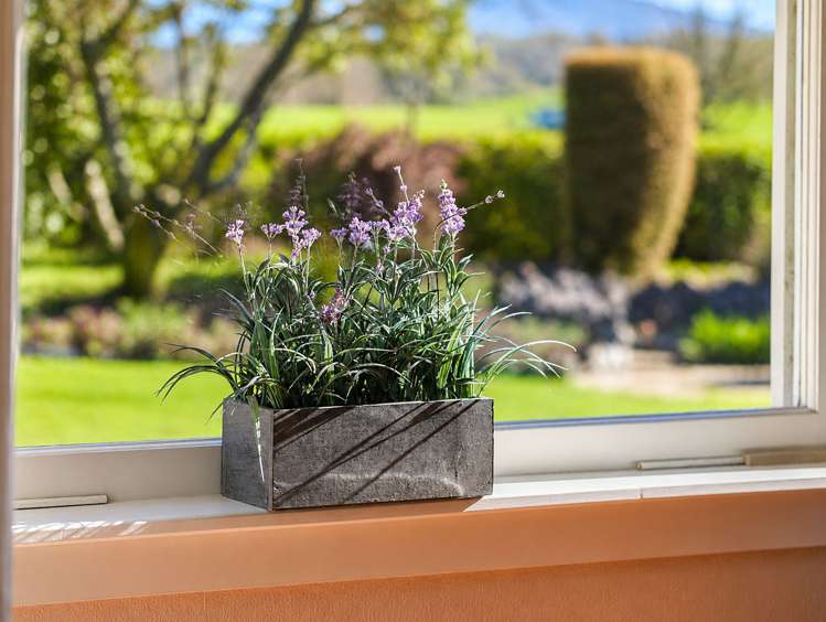 6 Glasson Road Te Awamutu_14