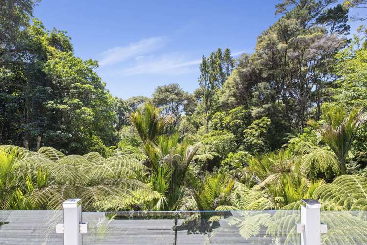 161 Konini Road Titirangi_4