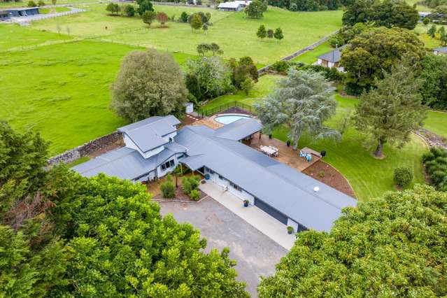 589 Ngunguru Road Glenbervie_4