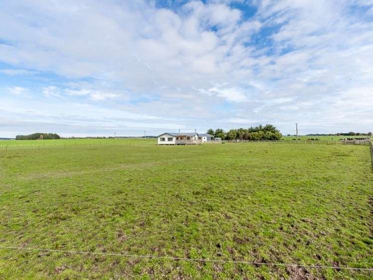 361 Whales Line Marton_20