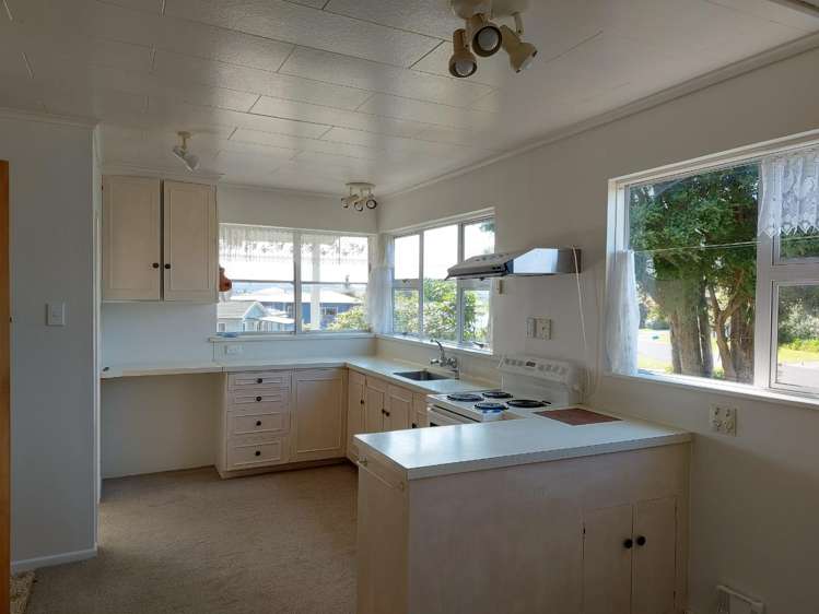 23 Puriri Street 11201_4