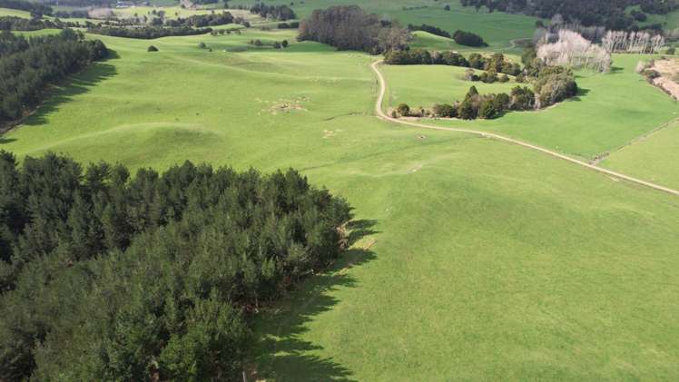 966 Te Ahu Ahu Road Kerikeri Surrounds_10