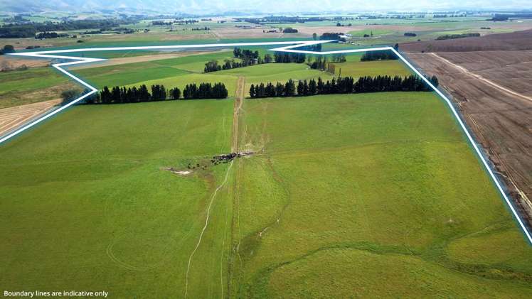 311 Hamilton Road Fairlie_0