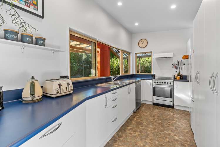 38 Patmos Avenue Woodhaugh_3