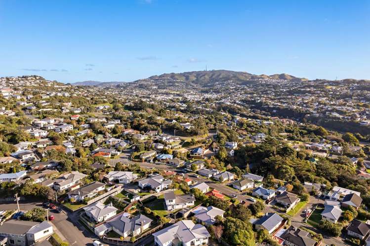 19 Diane Grove Paparangi_13