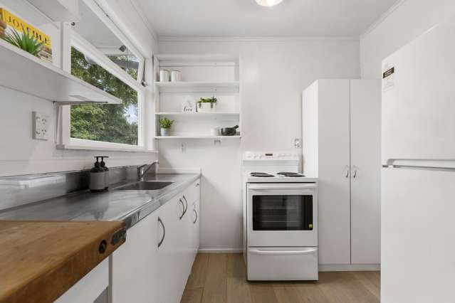 14a Dunlop Road Te Puke_2