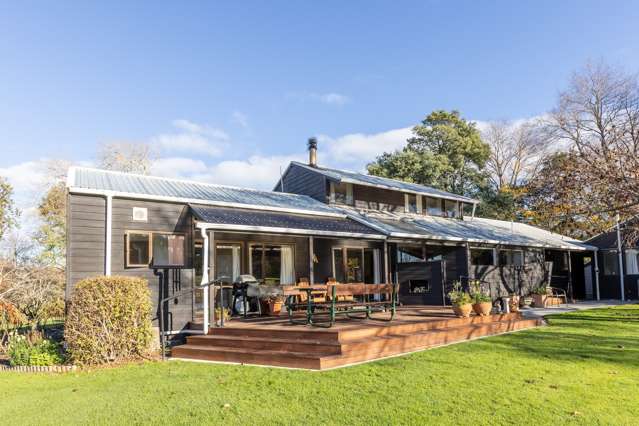 356 Dartmoor Road Puketapu_2