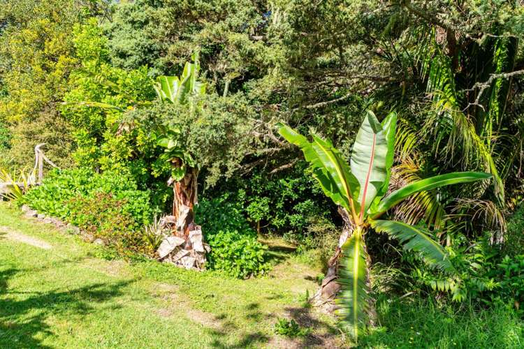 470a Tara Road Mangawhai_68