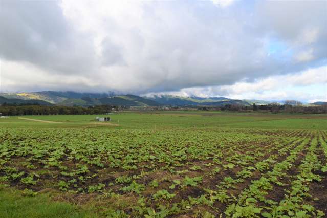 6/111 Muhunoa West Road Ohau_2