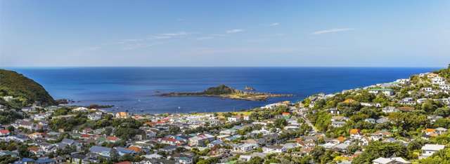 Lot 24, 75 Rhine Street Island Bay_2