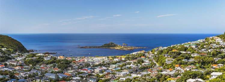 Lot 24, 75 Rhine Street Island Bay_12