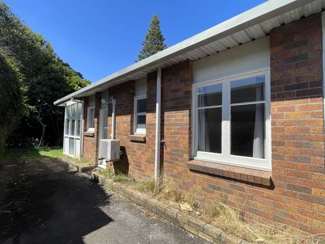 Options and Potential