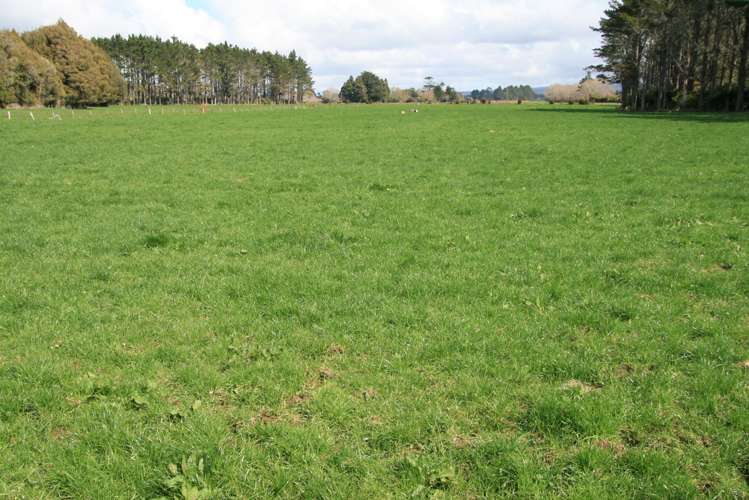 2403 Mountain Road Tariki_16