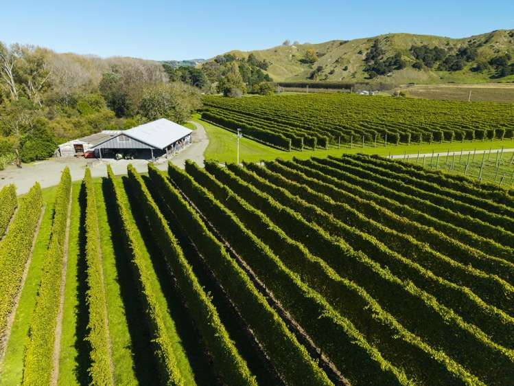 139 Taurau Valley Road Manutuke_12