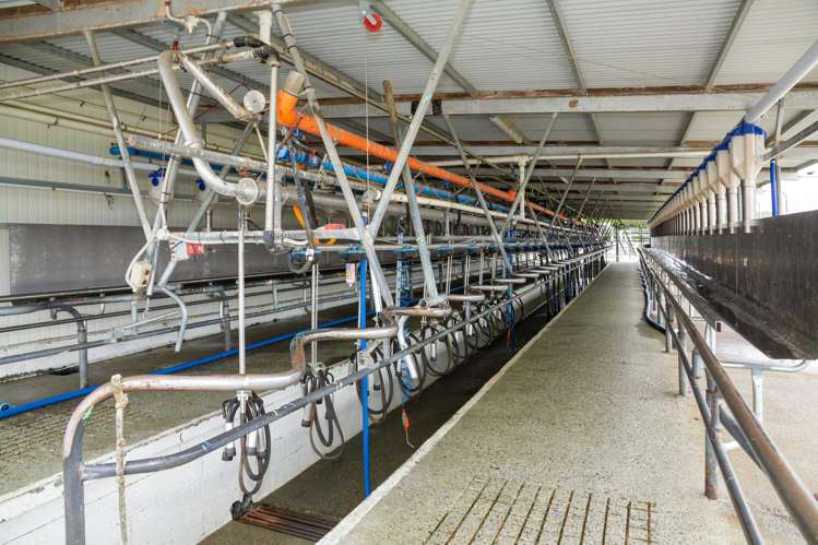 94 Brogdens Road Lowcliffe_19