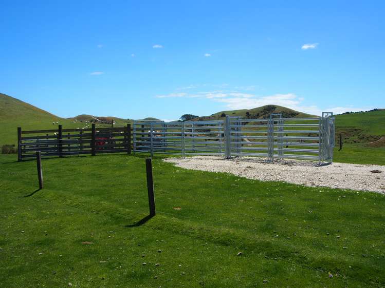 746 Te Awa Road Central Hawkes Bay Coastal_12